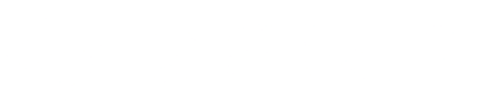 ZENIT Electric Motor
